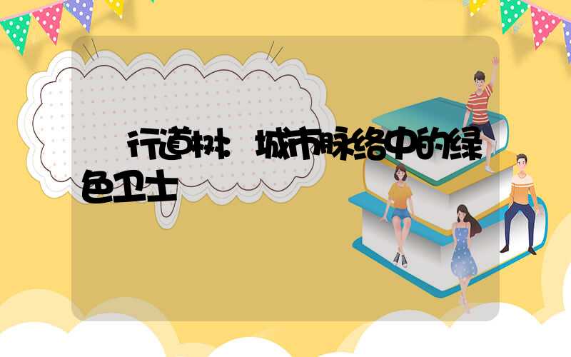 行道树:城市脉络中的绿色卫士